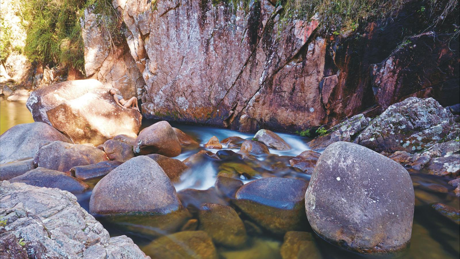 Close up of Finch Hatton Gorge