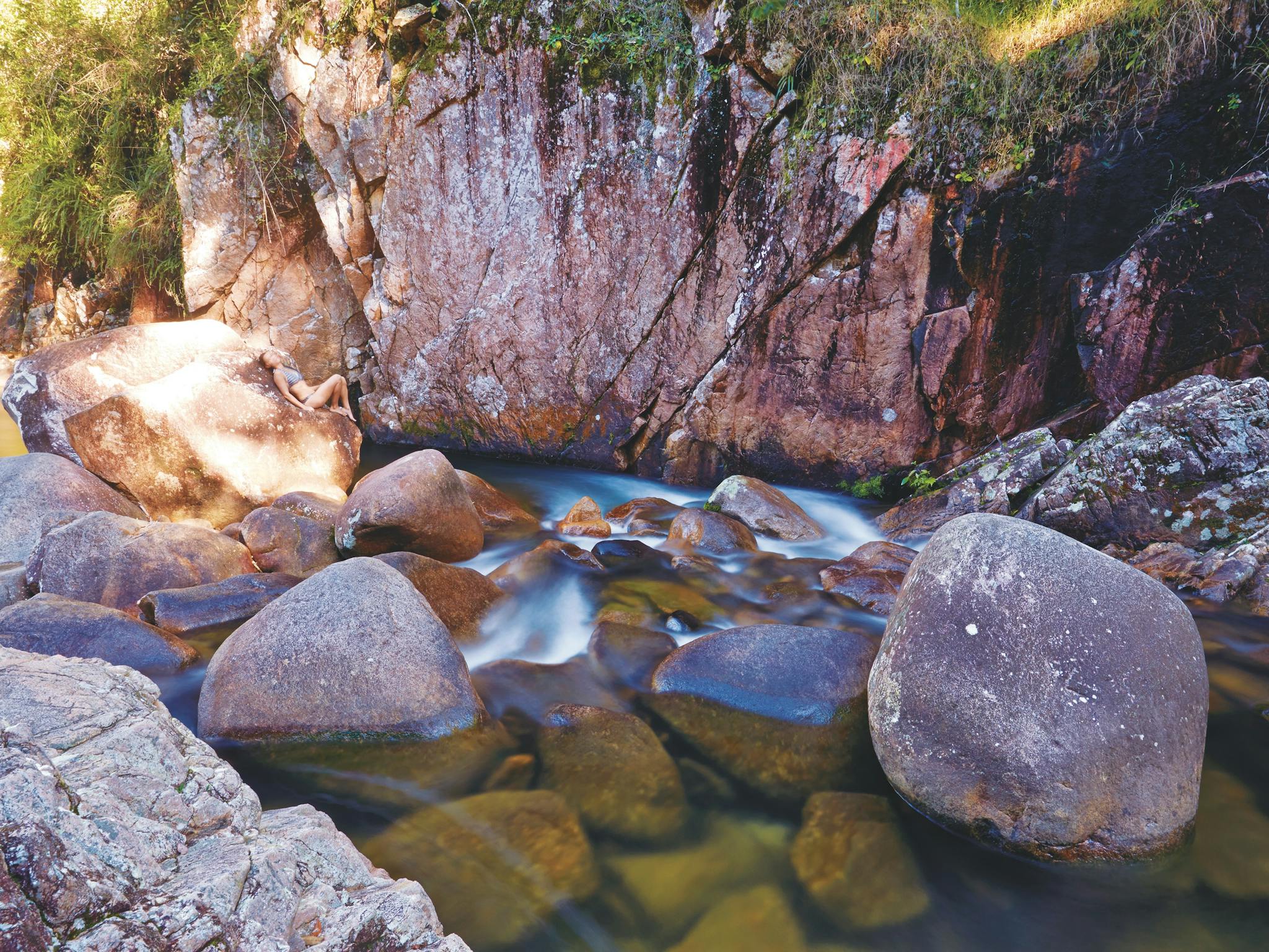 Close up of Finch Hatton Gorge
