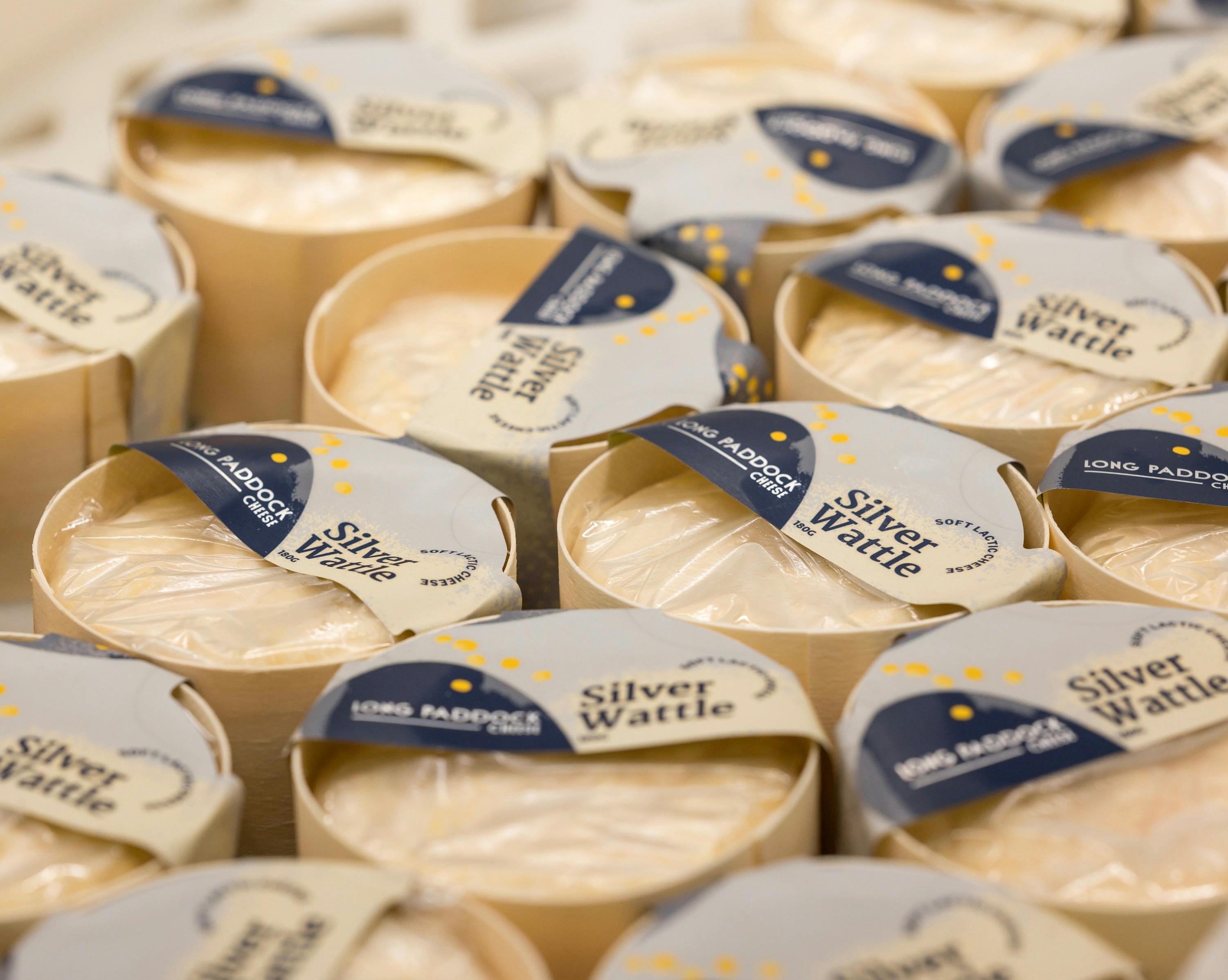 Group of Silver Wattle cheeses
