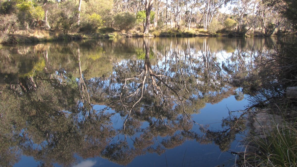 The quiet beauty of Doro’s Hole on the Broadwater is yours to explore at Earth & Soul Retreat