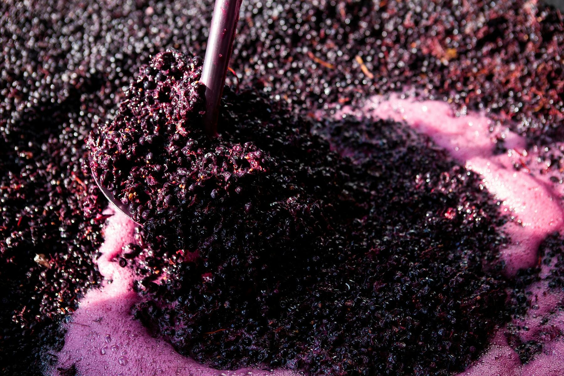 Punching down fermenting Shiraz fruit