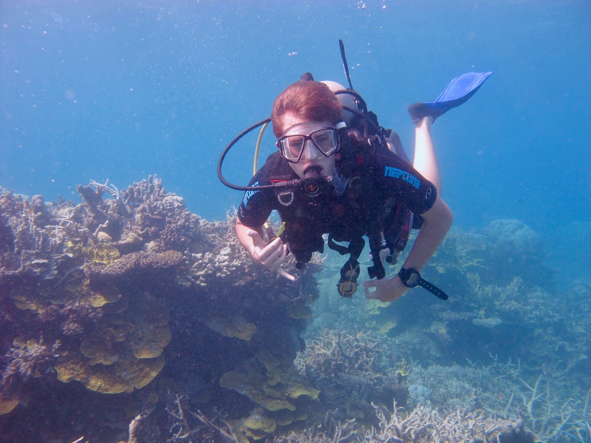 Keppel Dive - Queensland