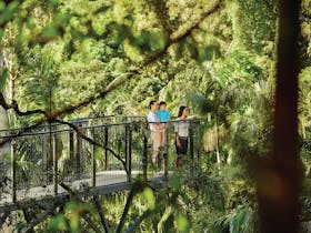 Tamborine Mountain image