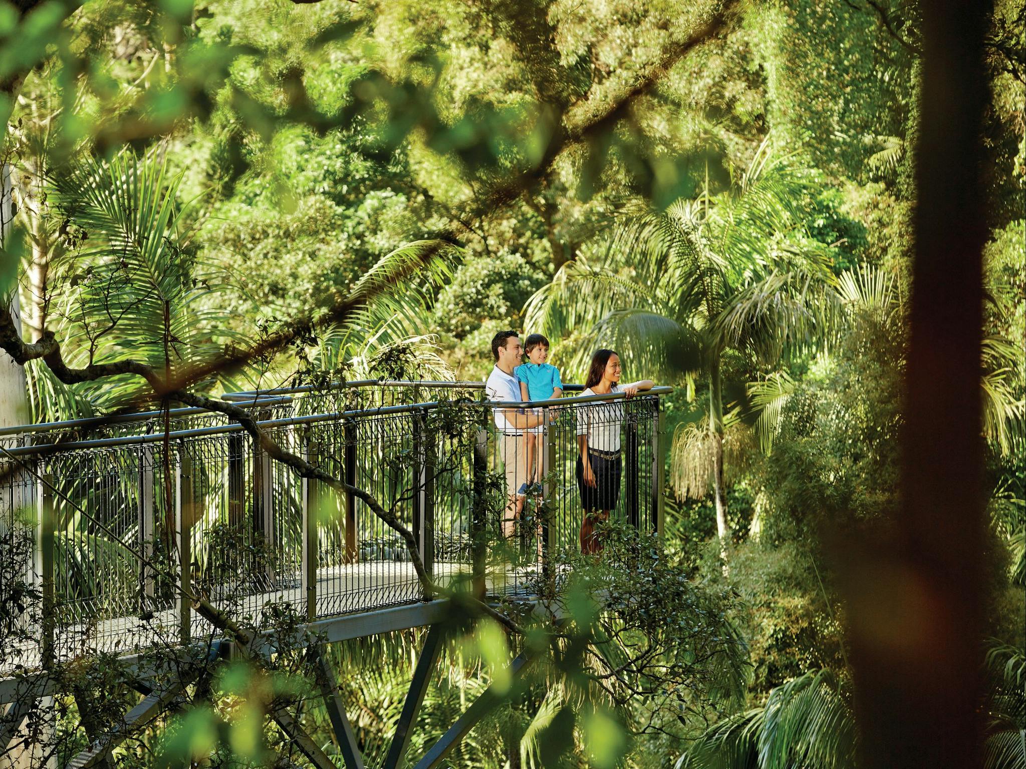 Tamborine Mountain Tamborine Mountain