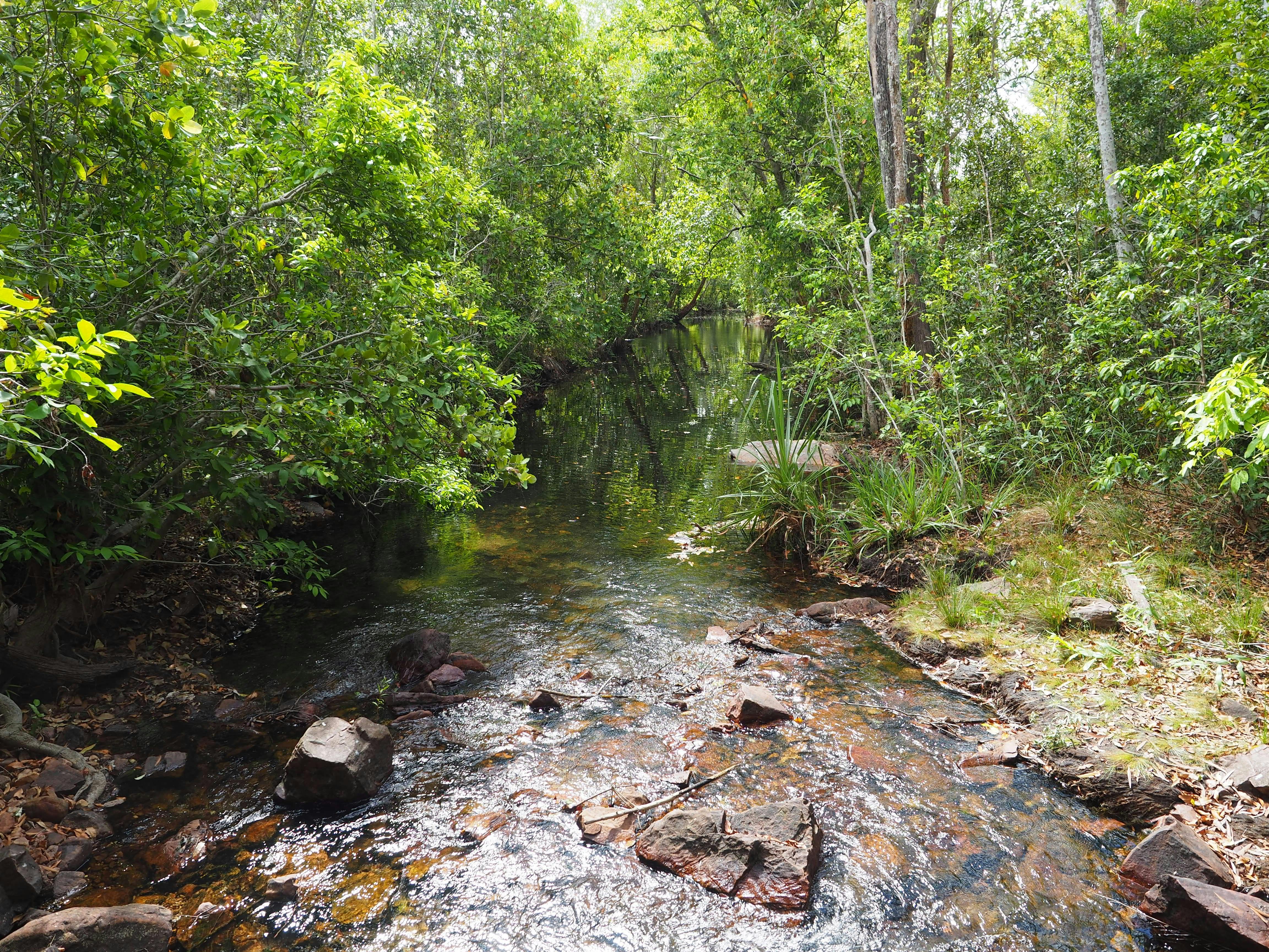 Litchfield National Park