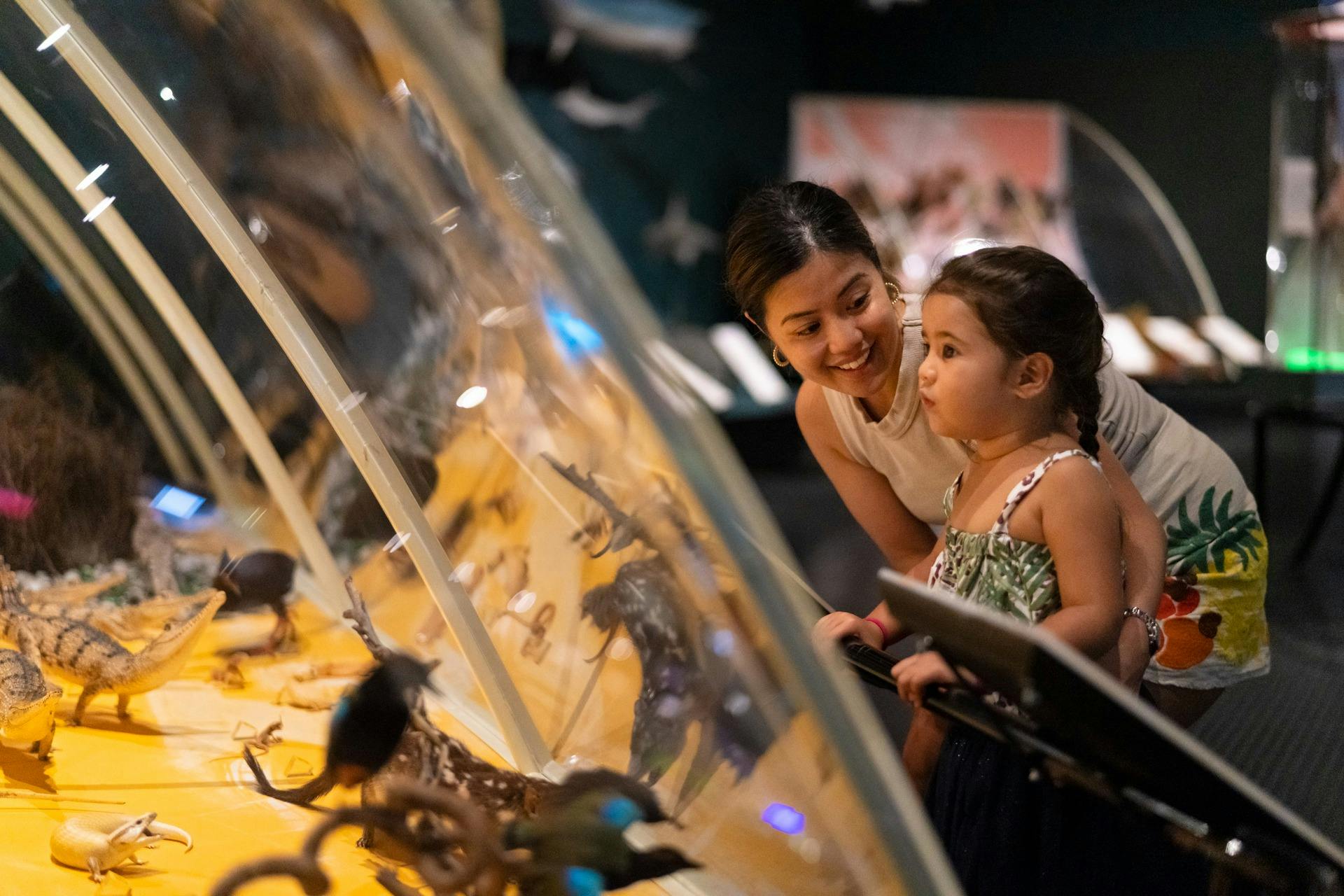 Museum and Art Gallery of the Northern Territory