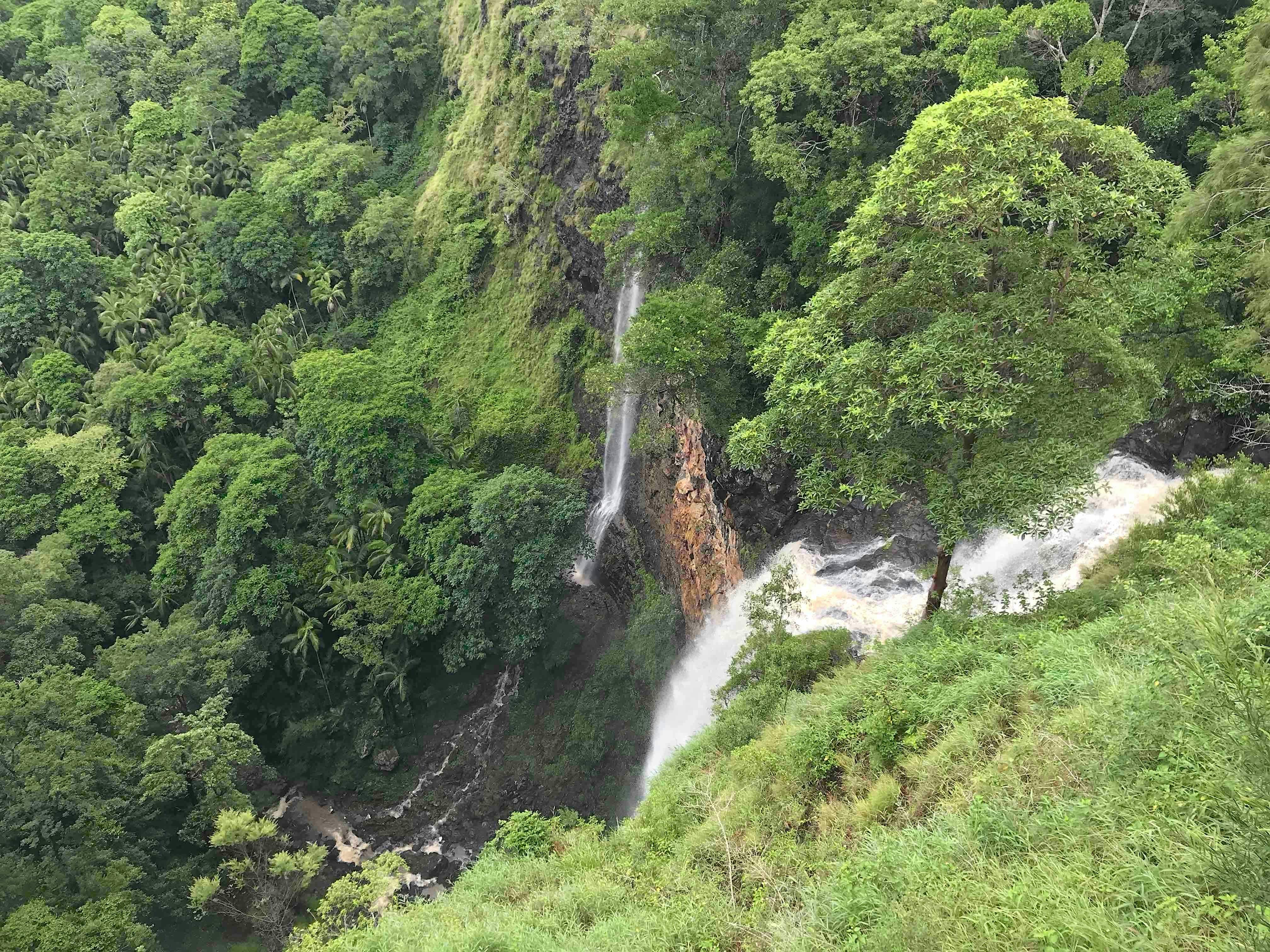 Joel's Journeys - Montville Tour Maleny Tour from Noosa