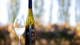 Helm wine