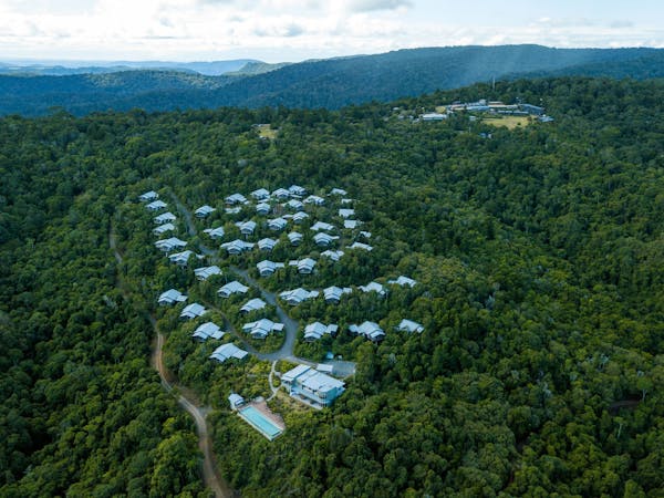 O Reilly S Rainforest Retreat