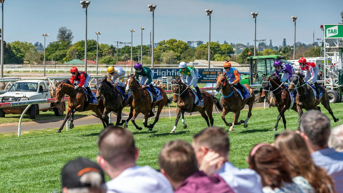 Clifford Performance Racing Clifford Park Racecourse | Attractions | Queensland