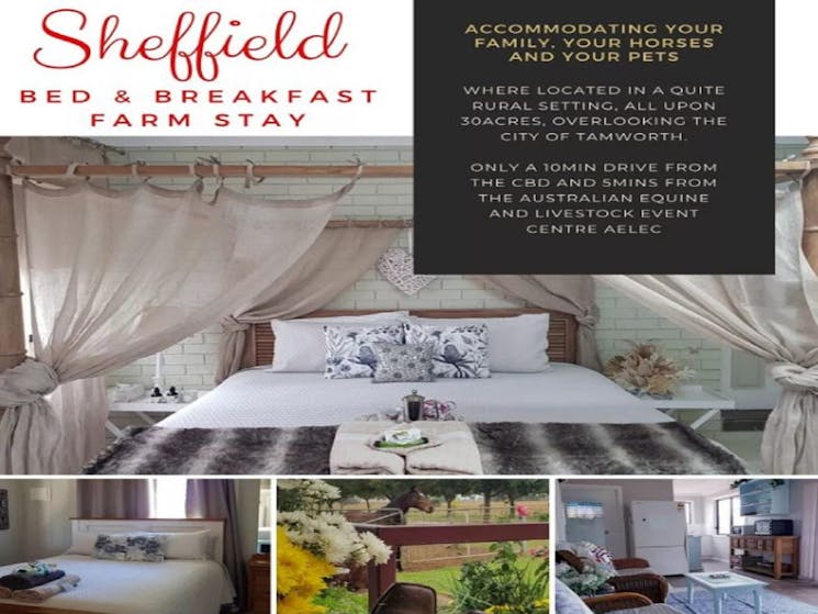 Sheffield Bed and Breakfast Tamworth Equine Stayover