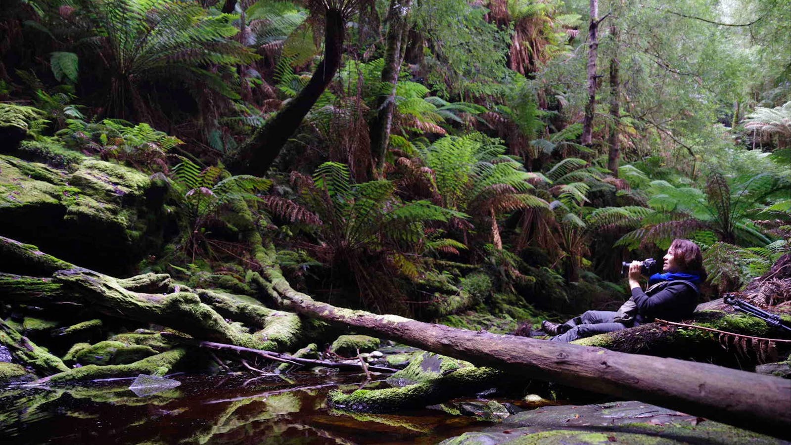 Tarkine Photography Workshop