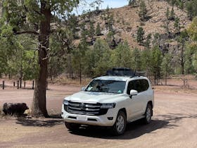Ikara Flinders Ranges National Park