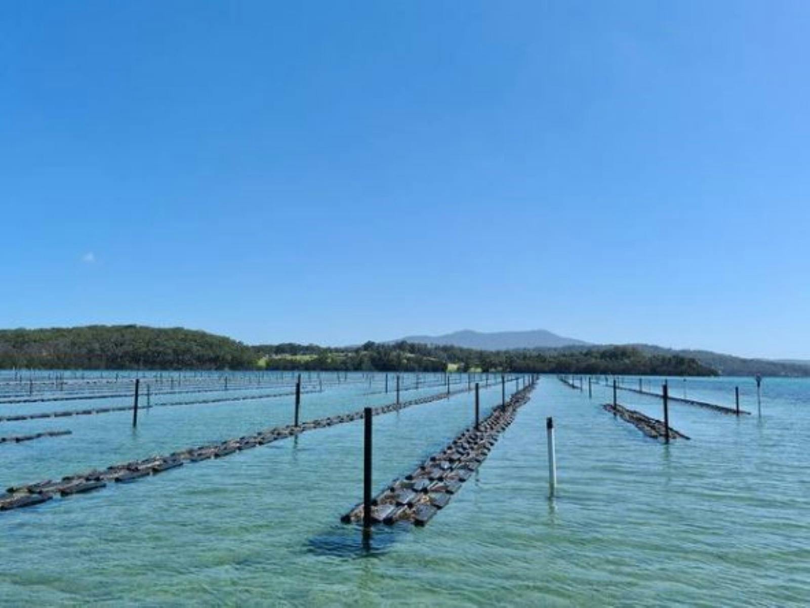 What's not to love about this office?