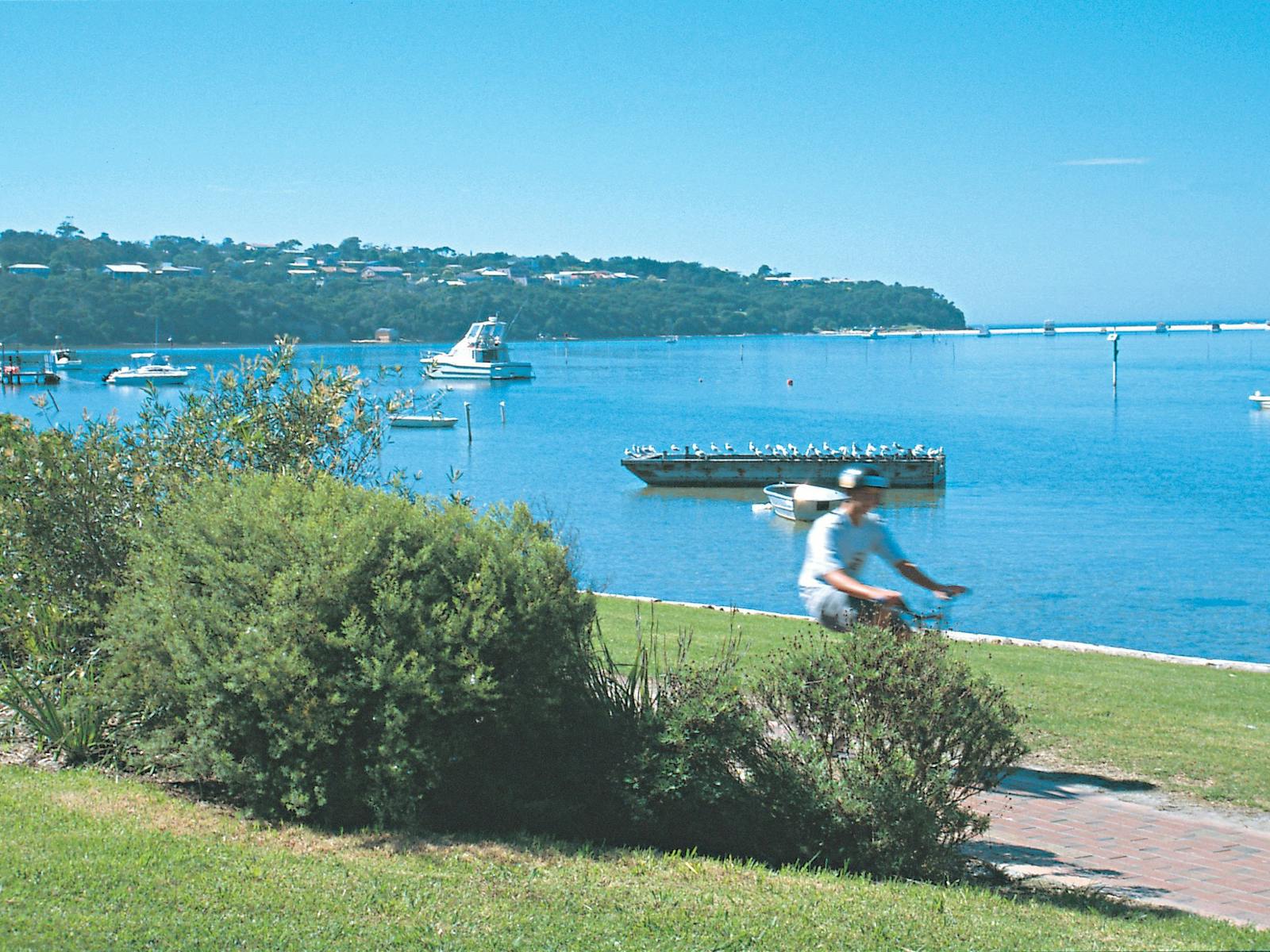 Merimbula to Pambula Cycle and Walkway, Sapphire Coast, bike riding, cycling