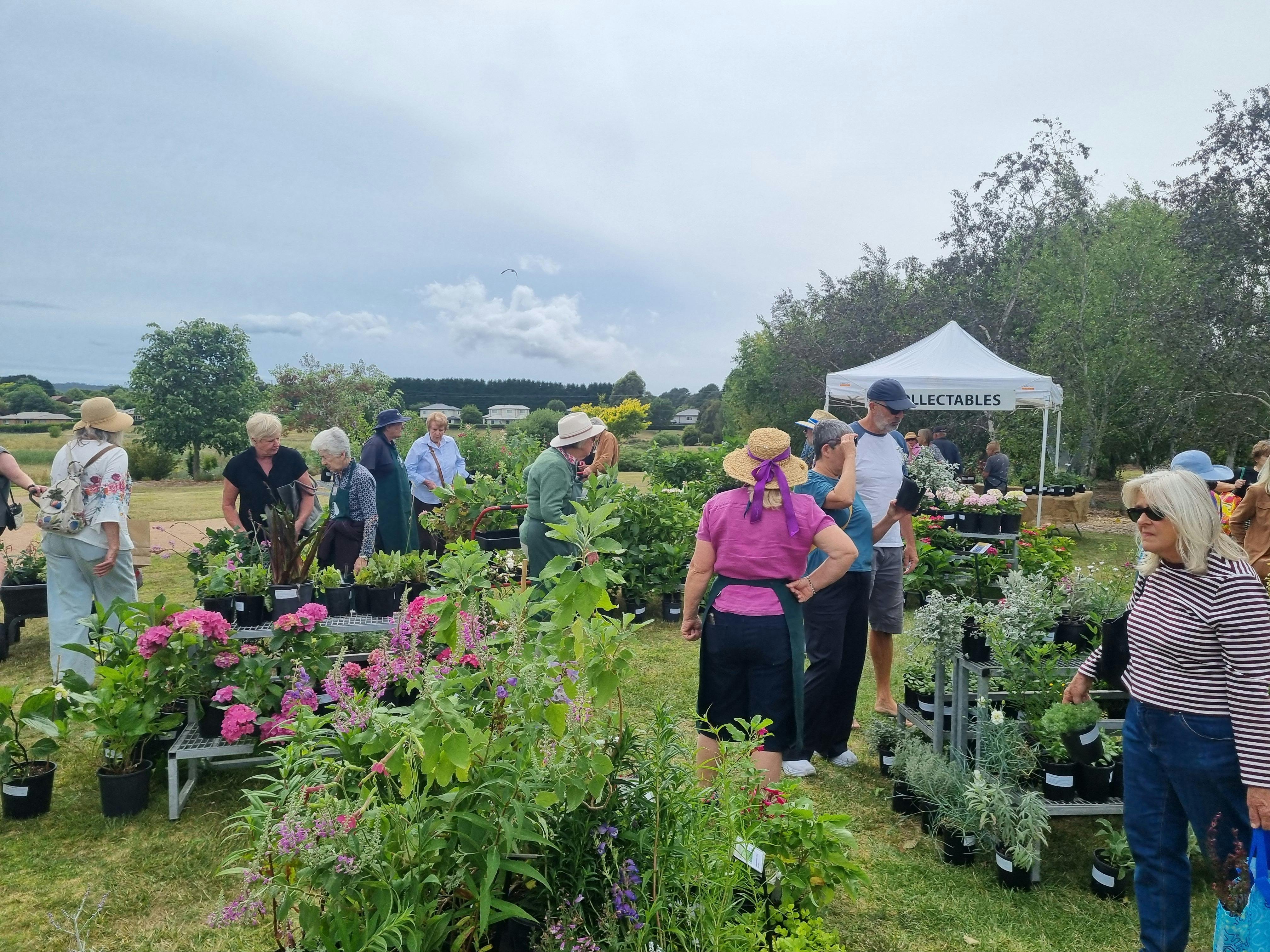 End of Summer Collectors Plant Sale