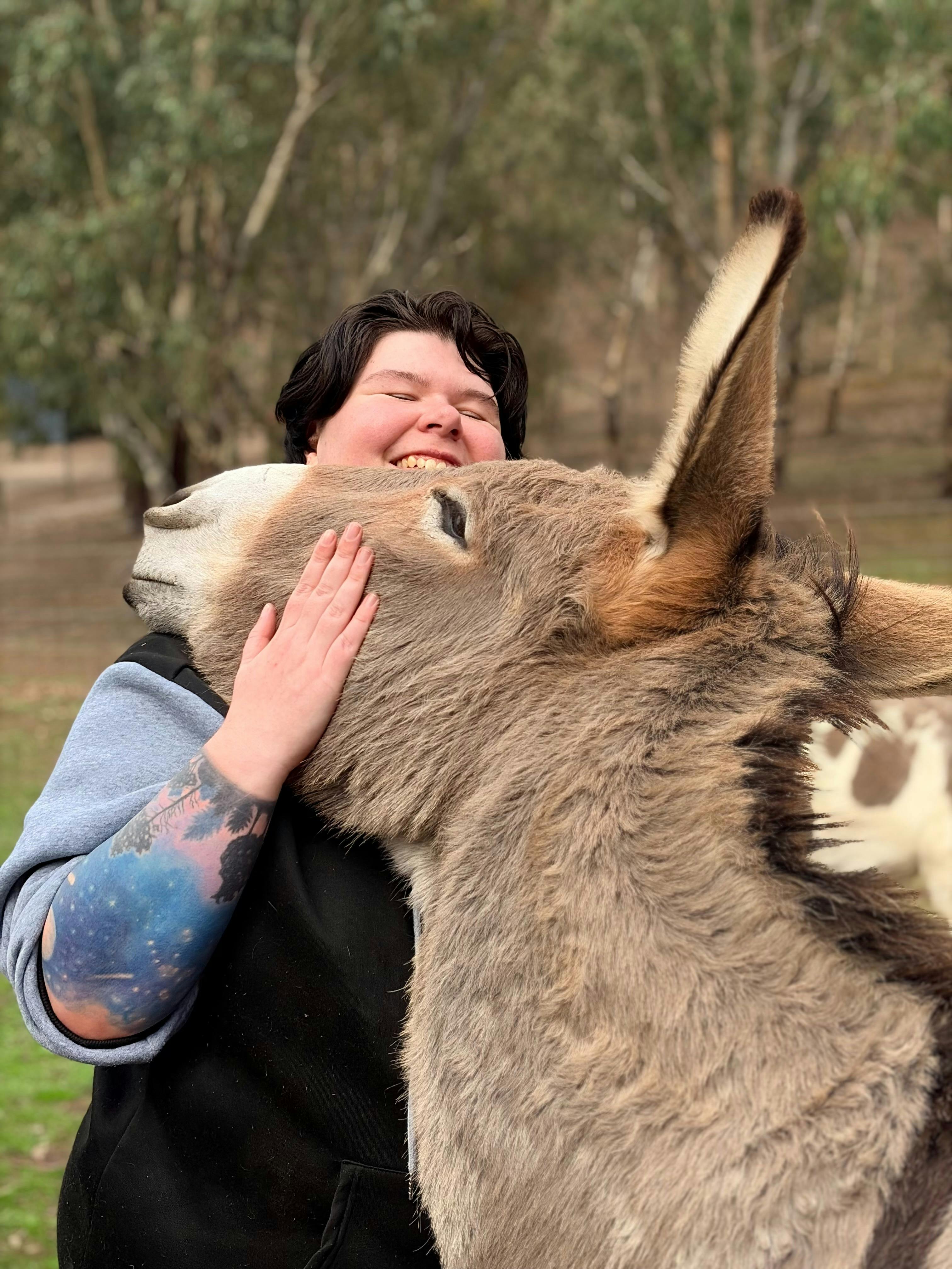 Donkey Discovery