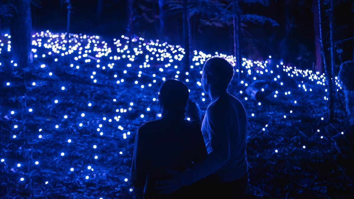 Couple holding each other looking at a field full of blue and white lights. Couple holding each other looking at a field full of blue and white lights.