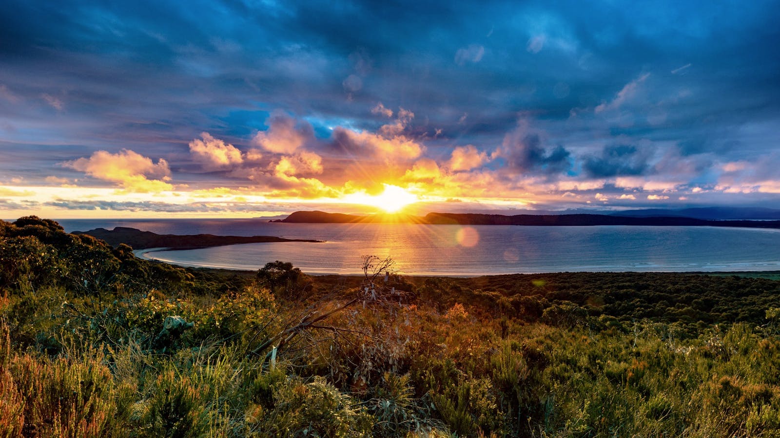 Cloudy Bay Cabin - Lookout