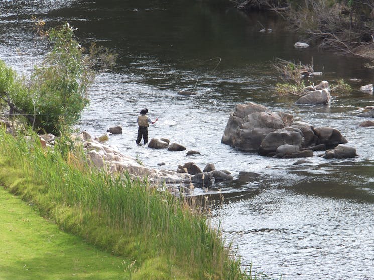 Man fly fishing for trout in the river