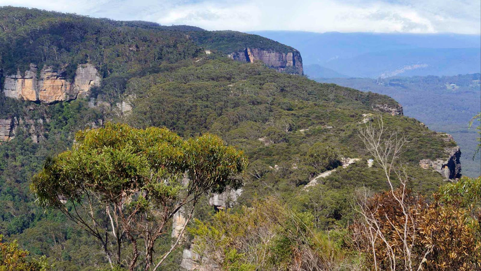 Narrow Neck Trail
