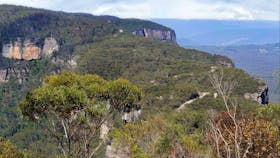 Narrow Neck Fire Trail, Blue Mountains National Park. Photo: Steve Alton/NSW Government