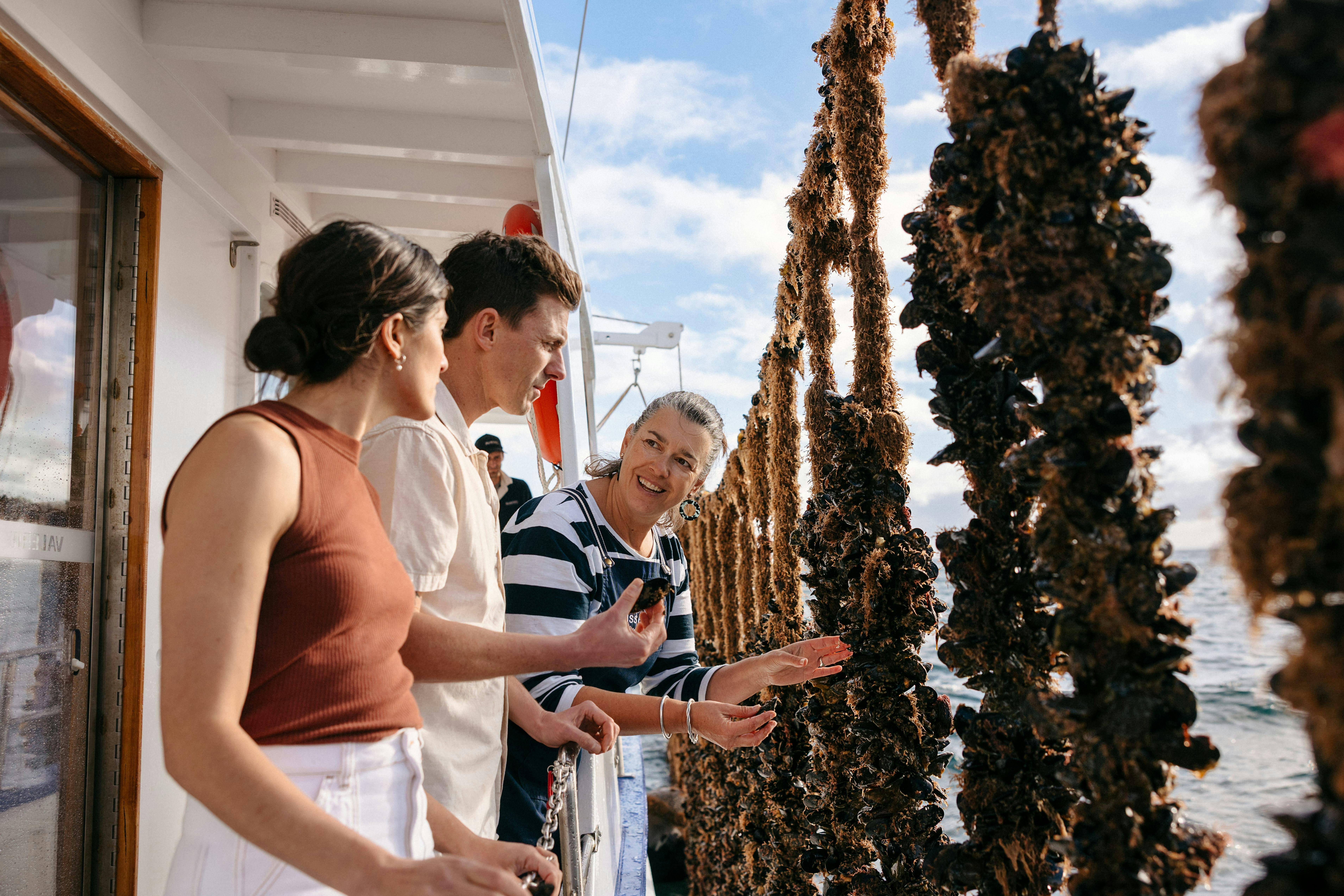 Classic  Mussel Tour