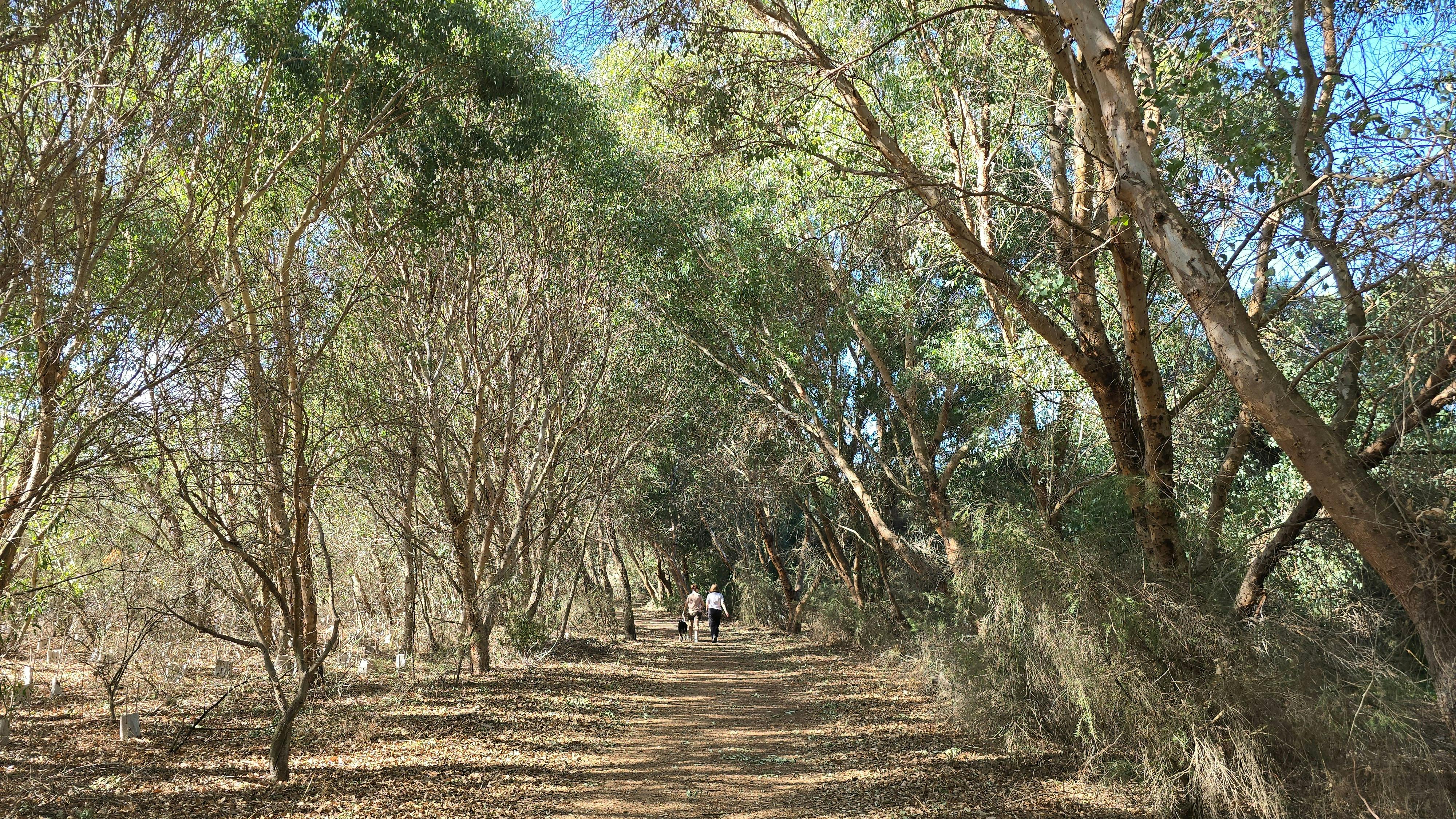 Tamworth Wetlands Loop Trail