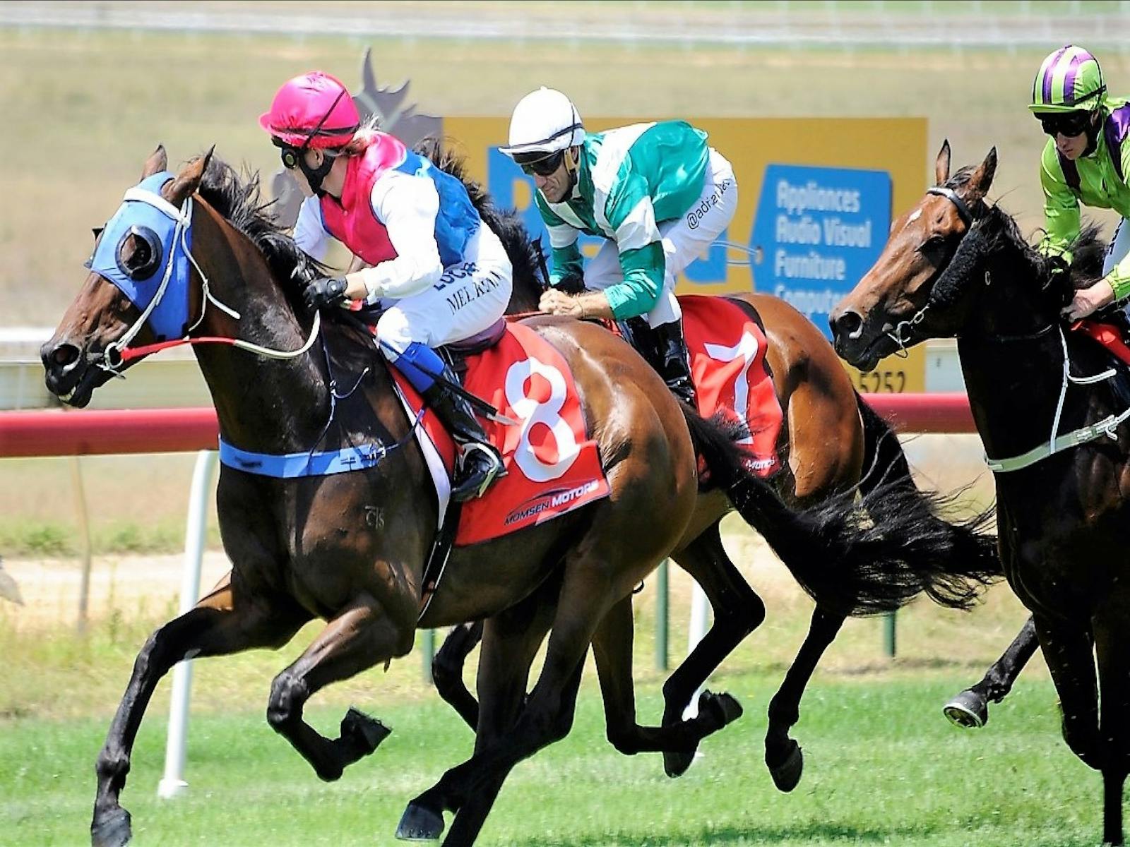 Image for Spring Race Day