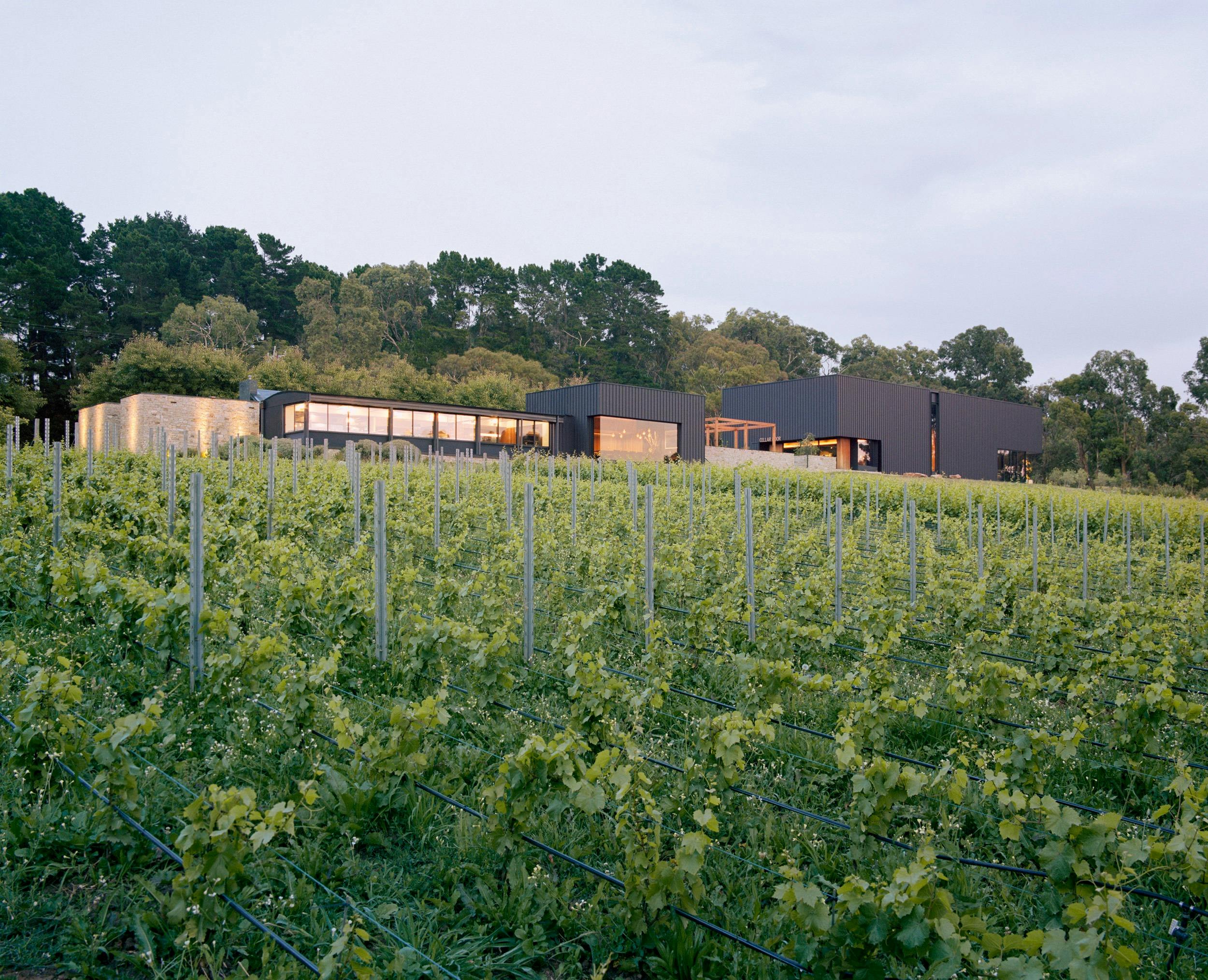 Ten Minutes by Tractor - Ultimate Winery Experiences Australia