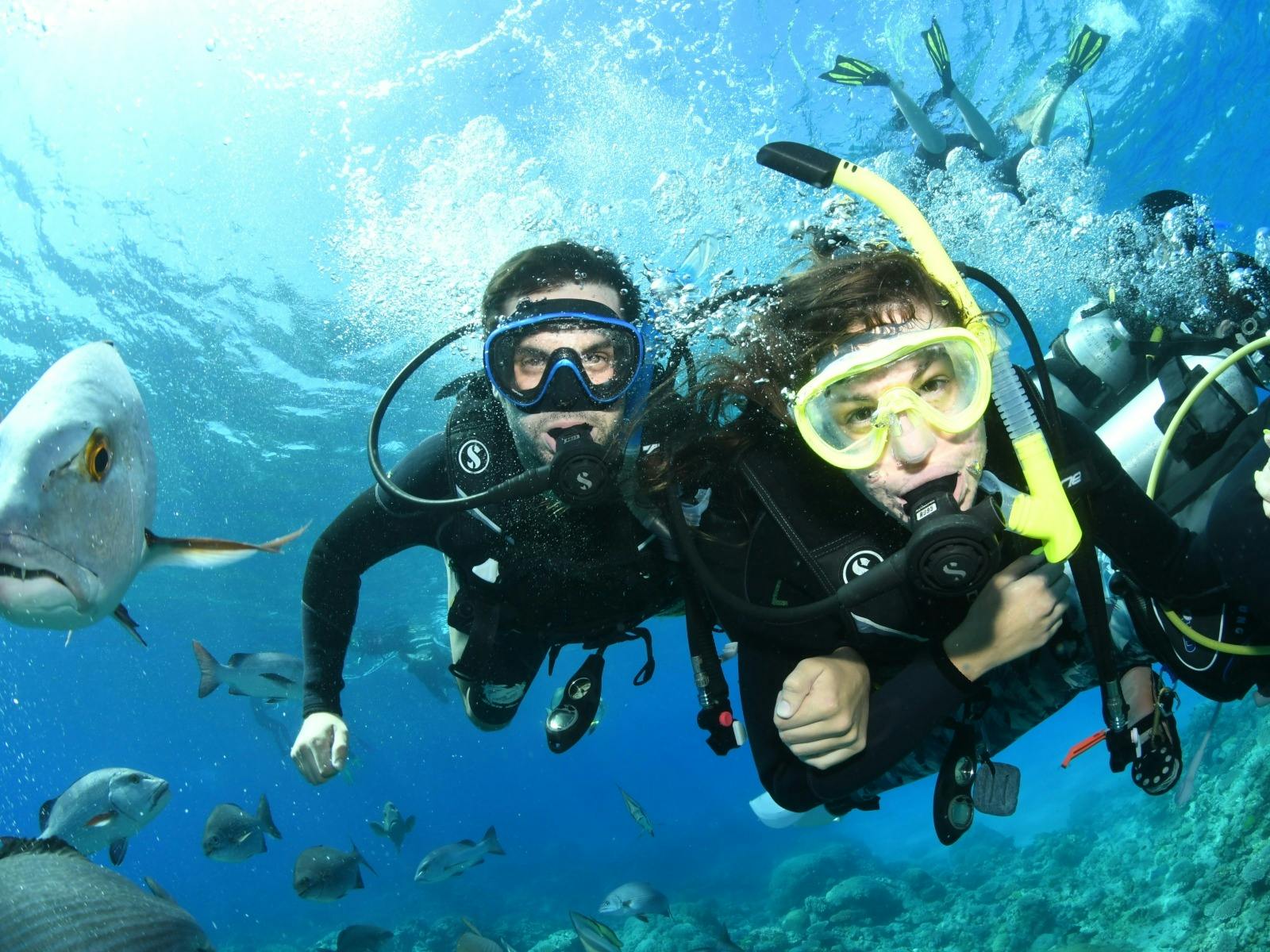Tusa Reef Tours offers all-inclusive snorkeling day tour from Cairns
