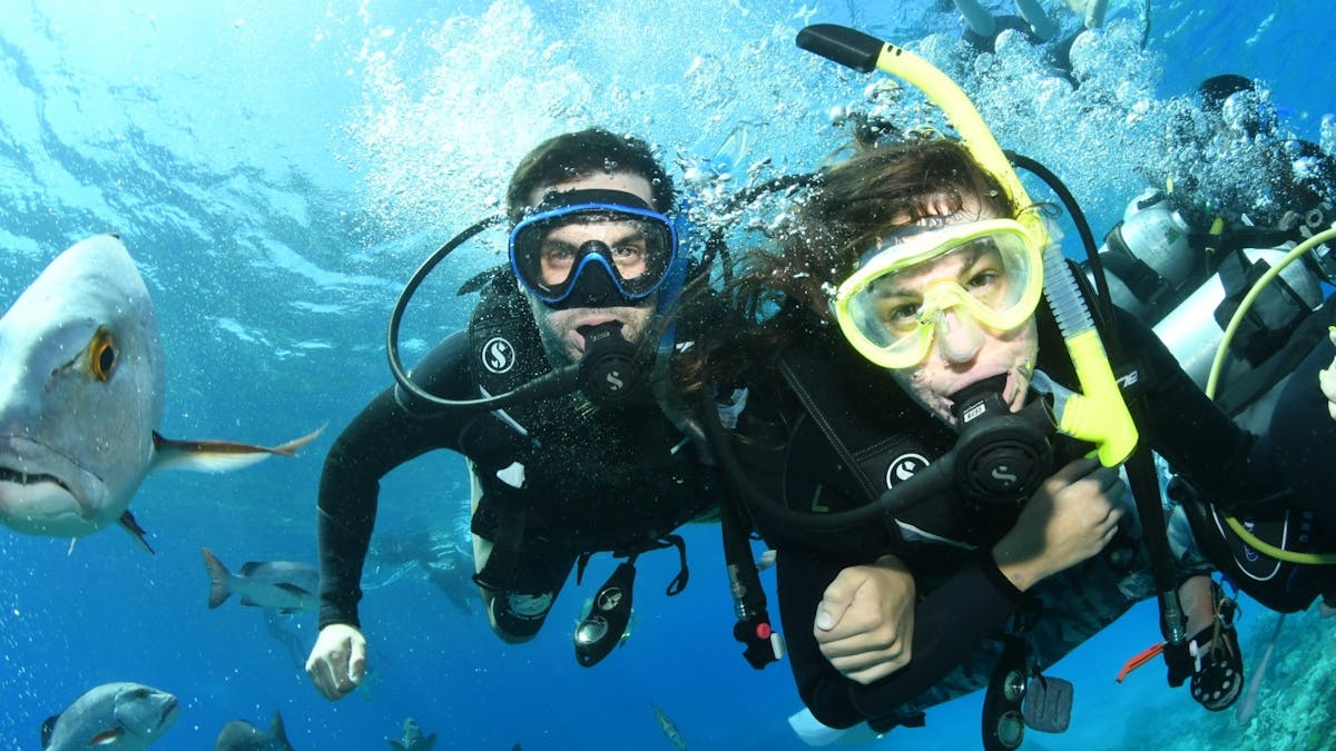 Tusa Reef Tours offers all-inclusive snorkeling day tour from Cairns