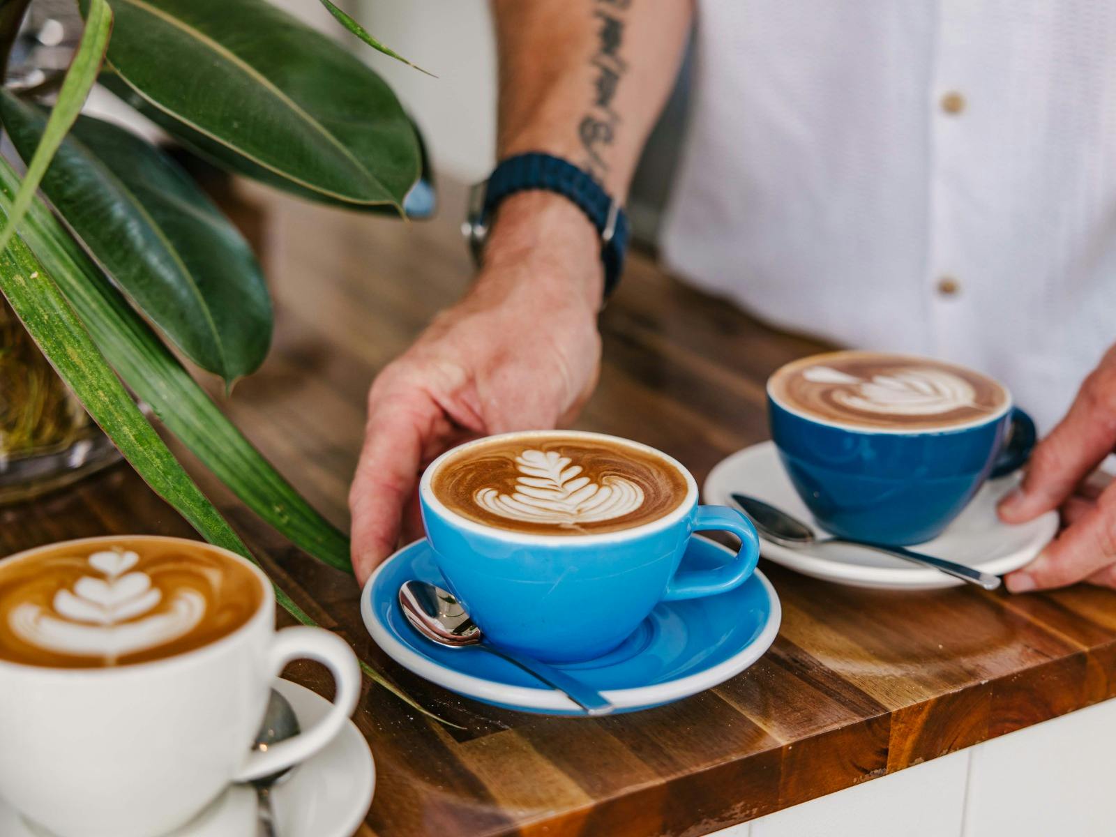 Jetty Pavilion Coffees