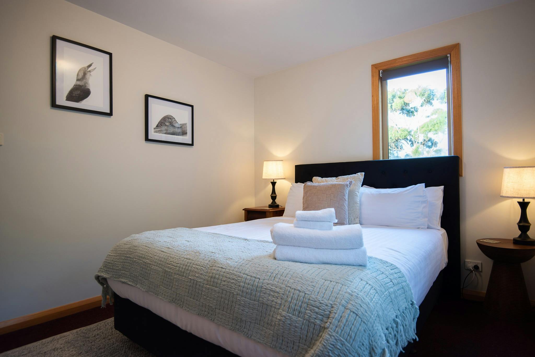 Queen bed, crisp linen and local artist drawings