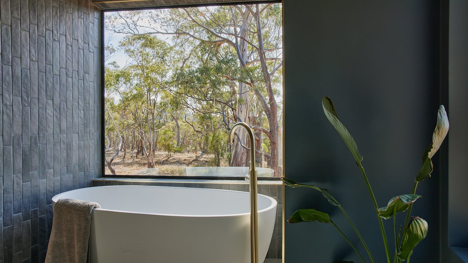 The bathroom makes the most of the bush setting