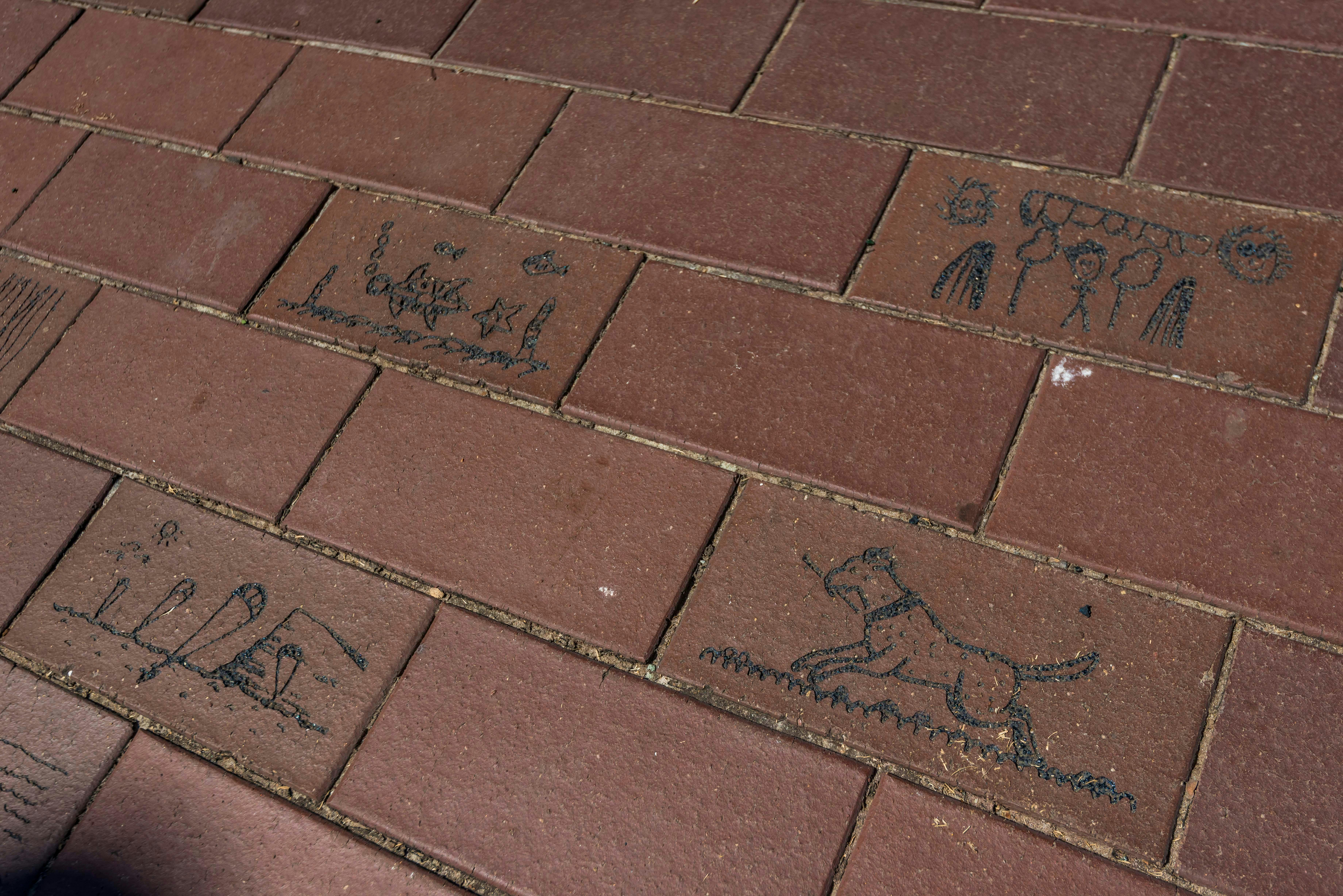 Ballina Public Art - Community Art Pavers