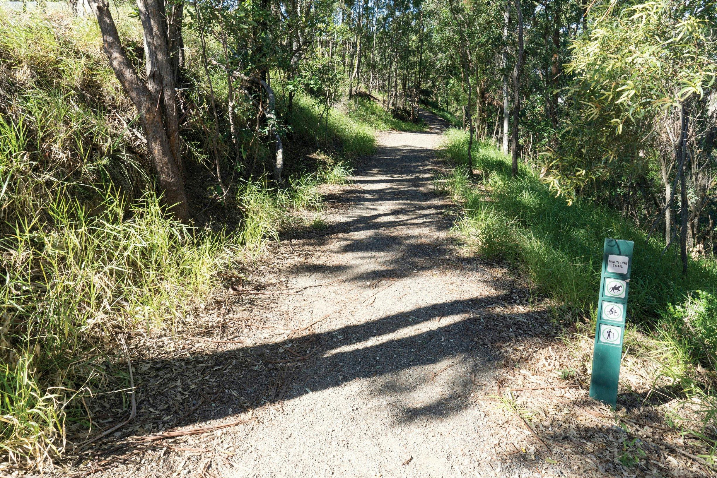 Mt Coot-tha Tourist Drive