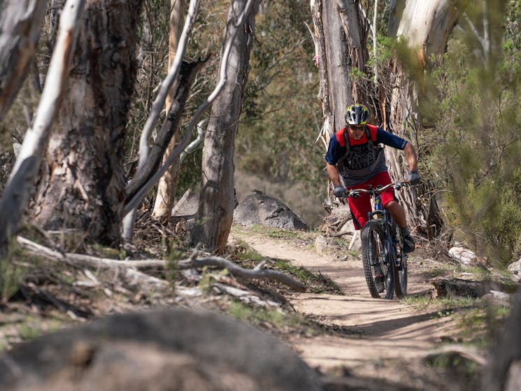 A mountain bike rider cycles a dirt section of Thredbo Valley track in Kosciuszko National Park