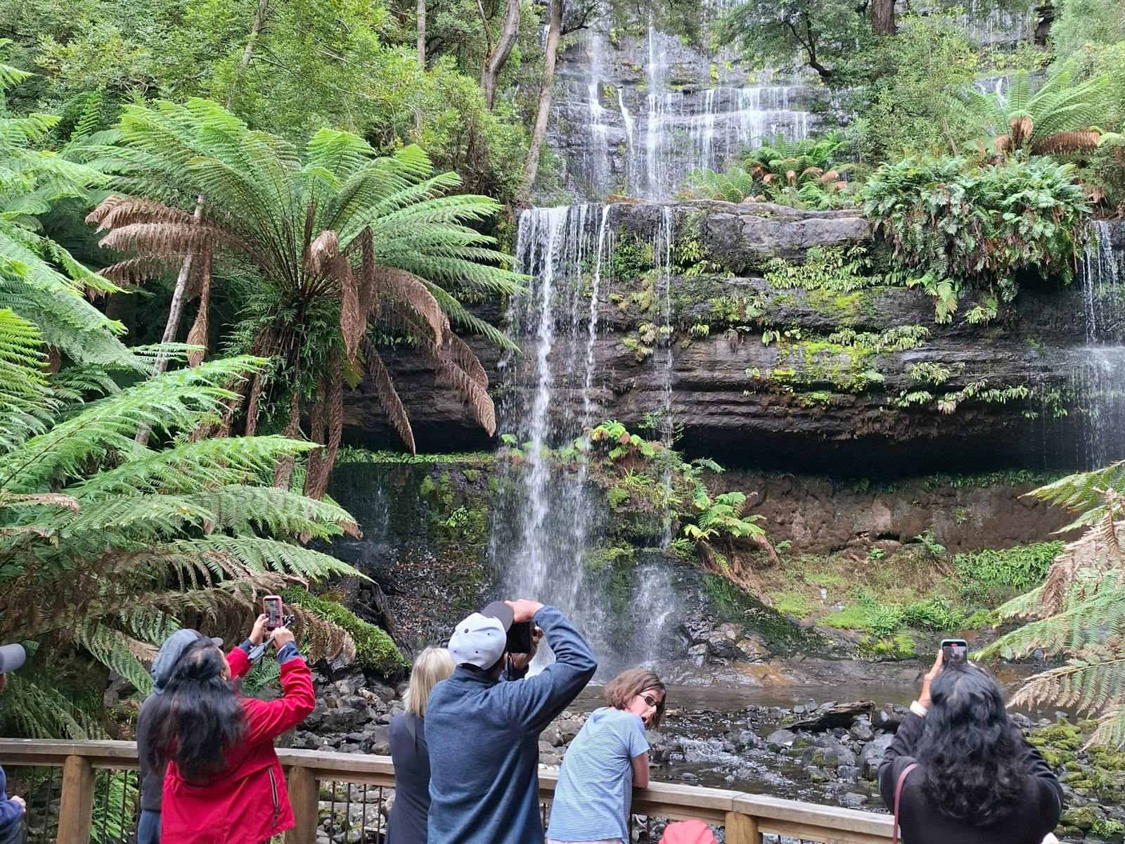 Peaceful Rainforest Sounds