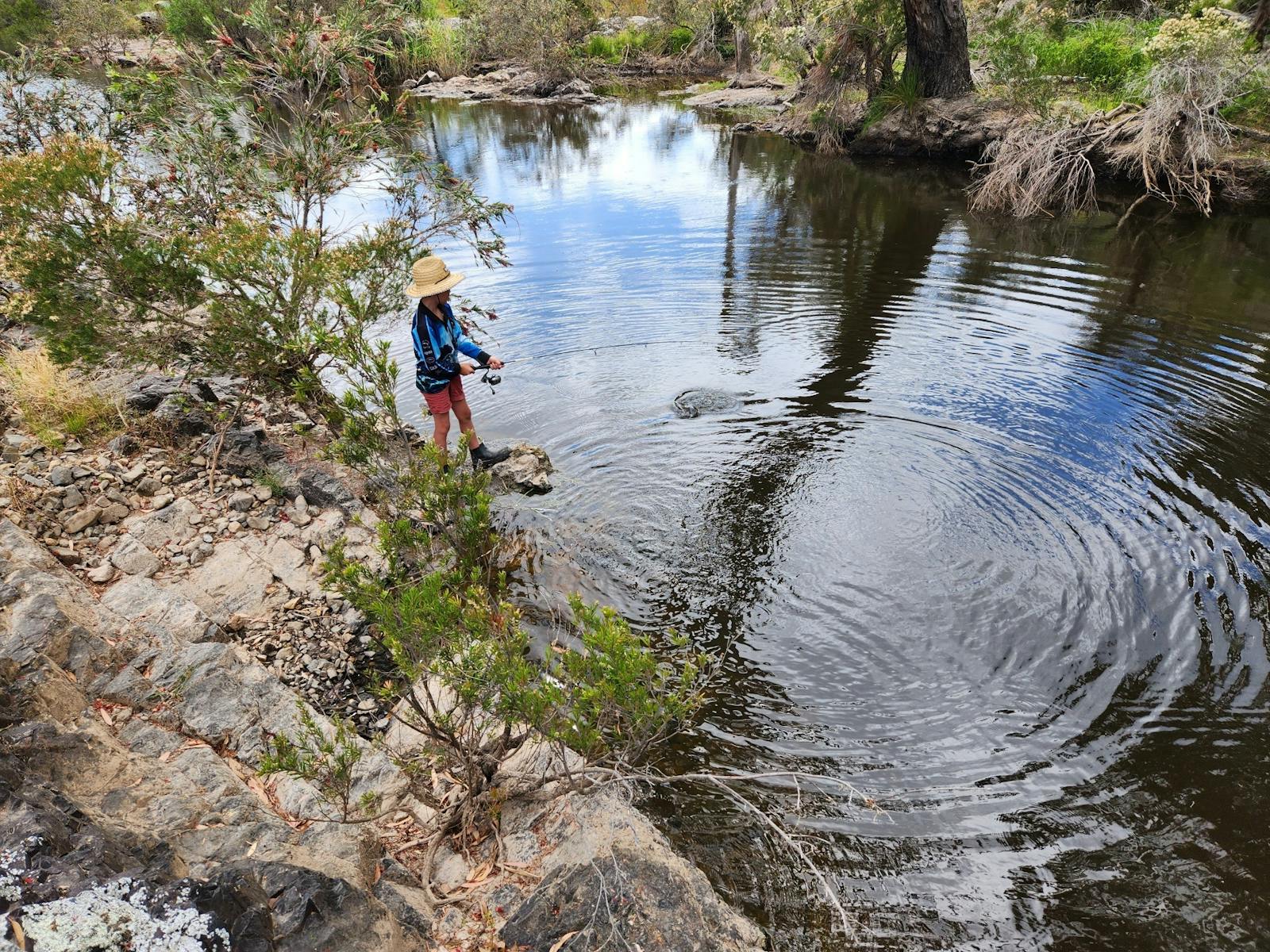 Benjamin Fish Bens Fishing Tours | Tours | Queensland