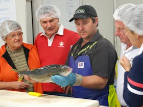 Tour guide holding a Kingfish