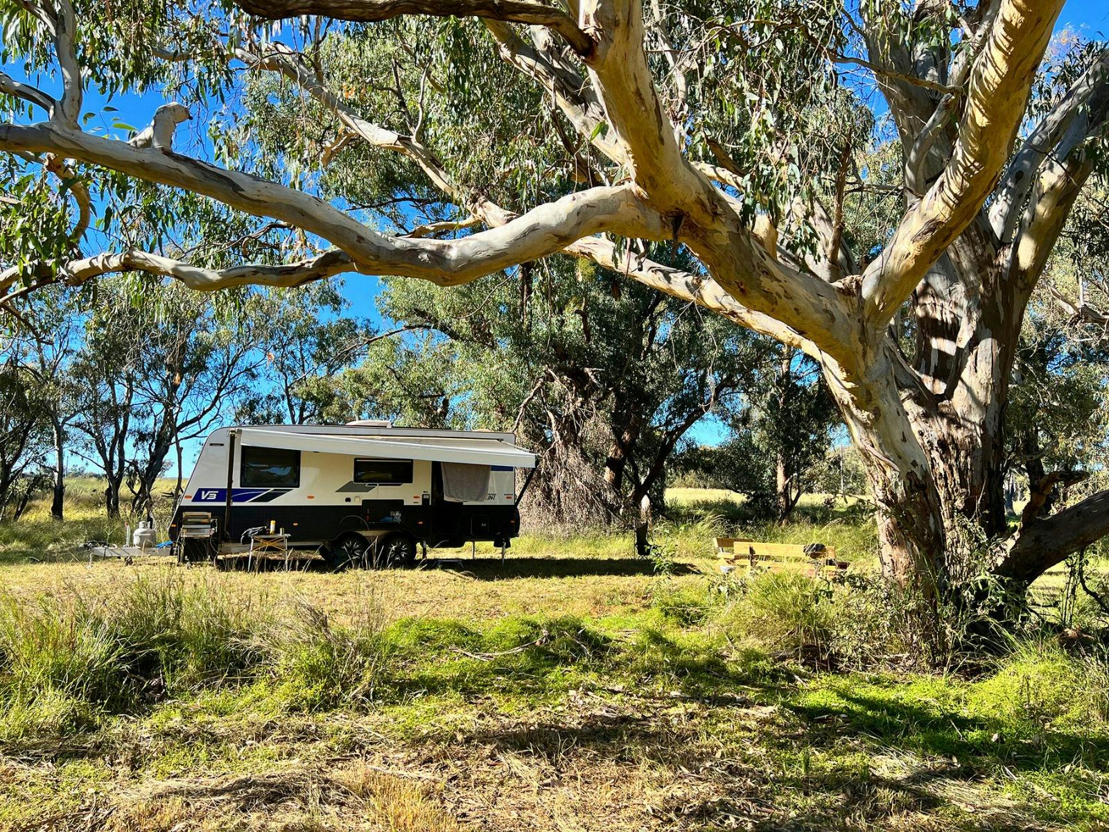 웬두리 크릭 패독