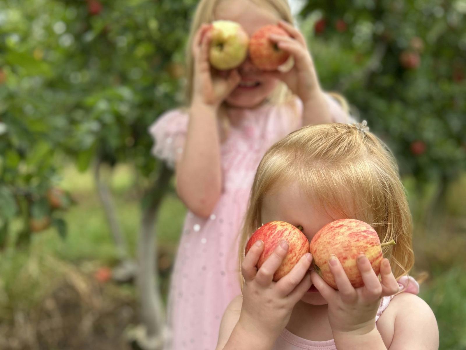 Apple Picking