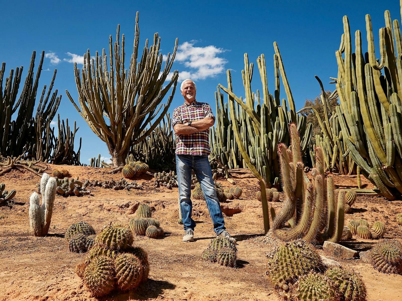 Jim Hall cactus
