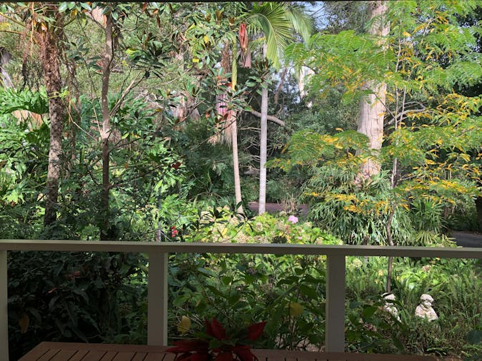 Rainforest Retreat
