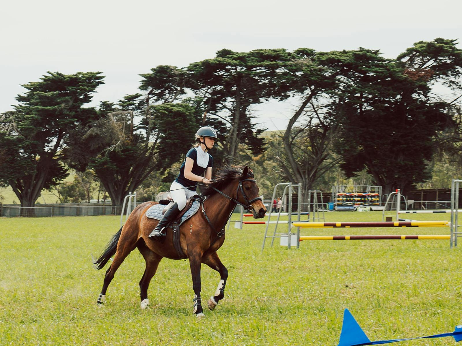 Coleraine Show