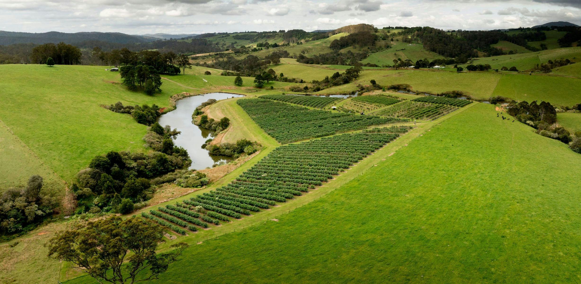 드론으로 본 농장 풍경