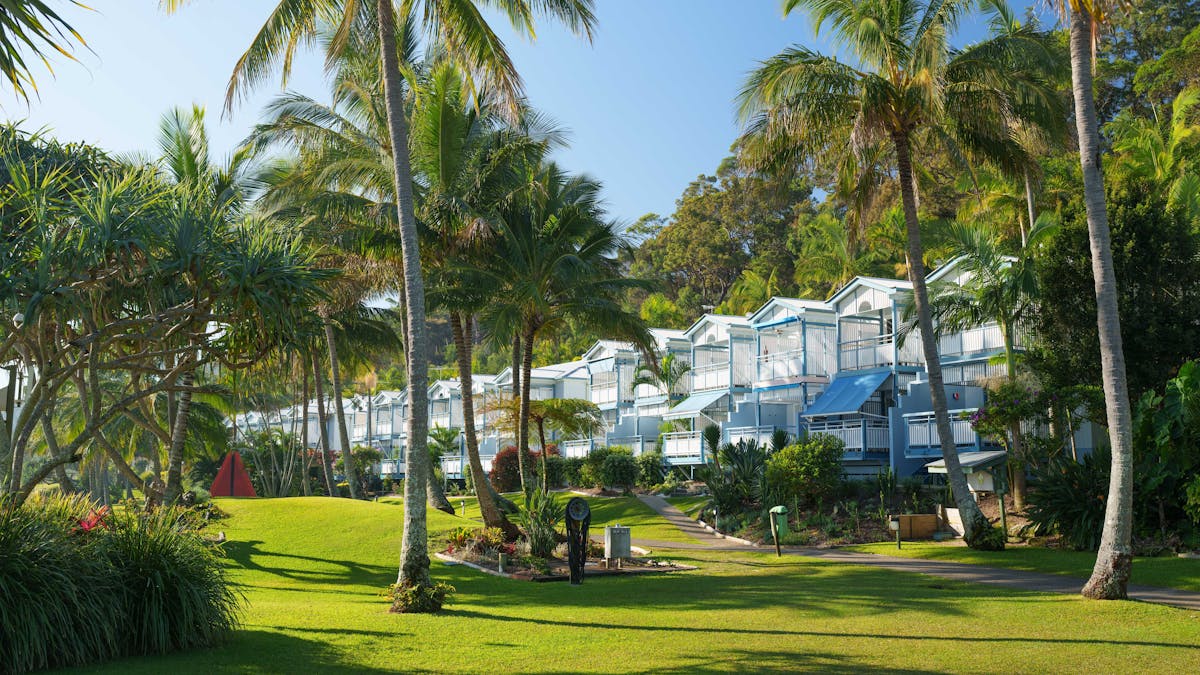 Villas lined up amongst palm trees