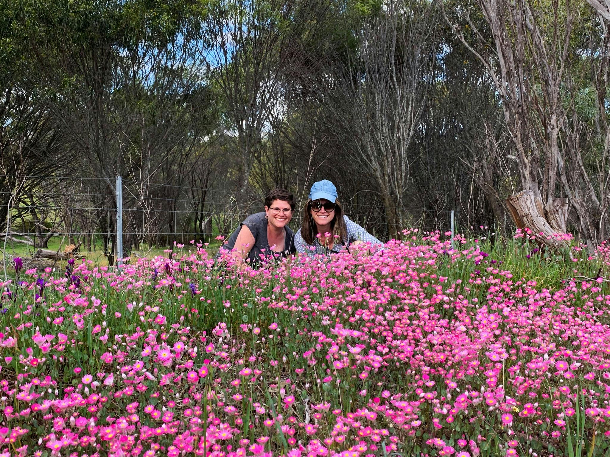 Perths Tiny Tours, Perth, Western Australia