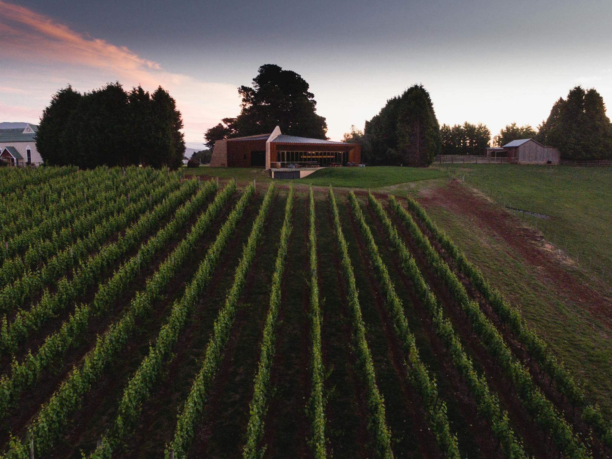 Clover Hill Vineyard